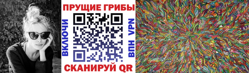 Галлюциногенные грибы Cubensis  blacksprut ссылки  Кудрово 
